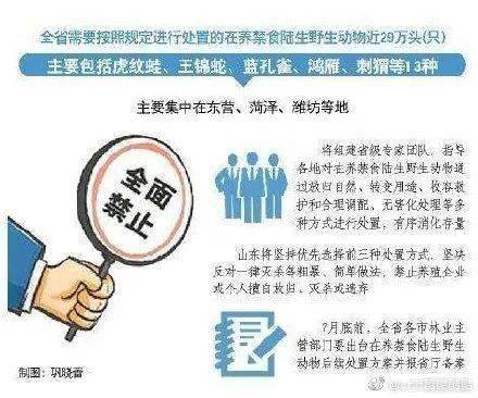 2025精准资料免费大全，全面释义、解释与落实—警惕虚假宣传的警示